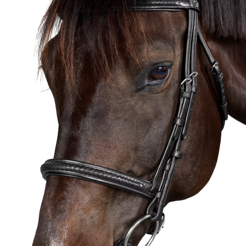 Dyon - Bridon Nieuwe Engelse Collectie zwart