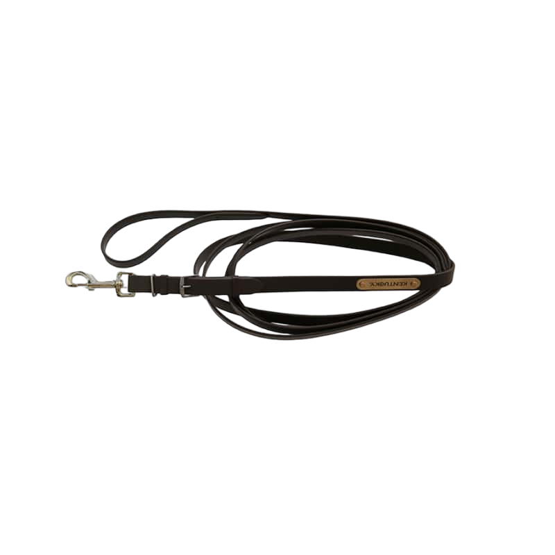 Kentucky Horsewear - Longe de présentation étalon noir | - Ohlala