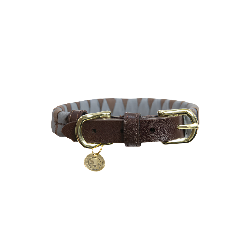 Kentucky Dogwear - Colliers pour chiens Triangle | - Ohlala