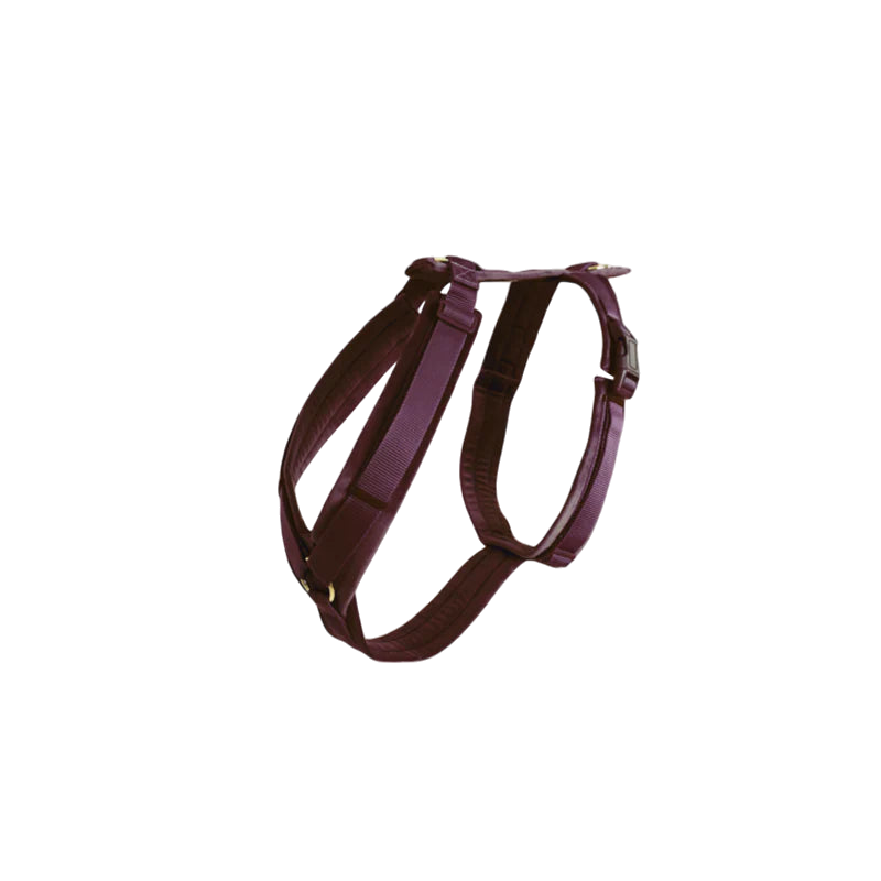 Kentucky Dogwear - Harnais pour chien actif velours bordeaux | - Ohlala