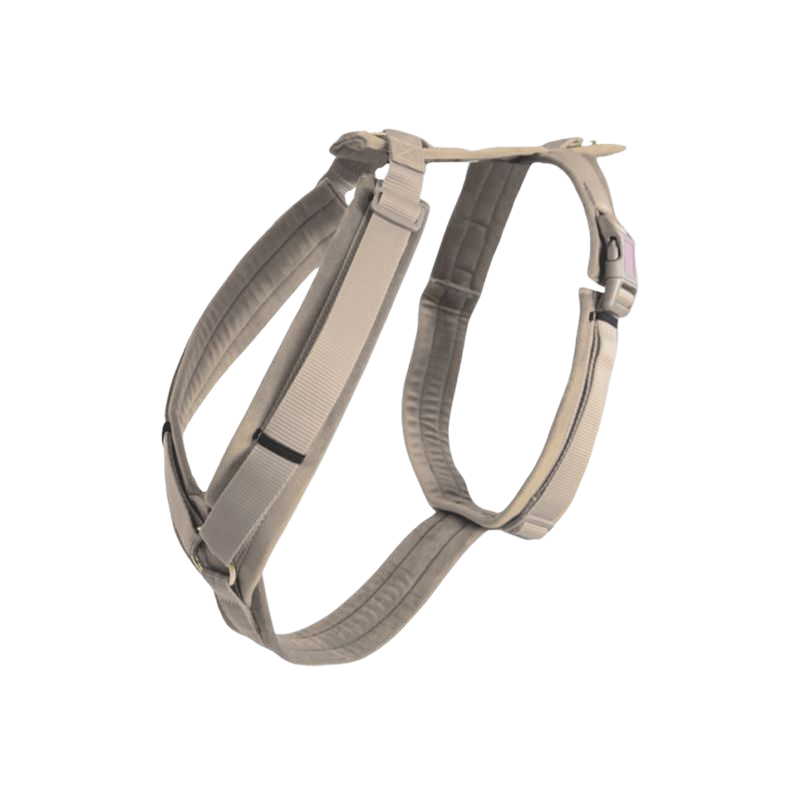 Kentucky Dogwear - Harnais pour chien actif velvet beige | - Ohlala