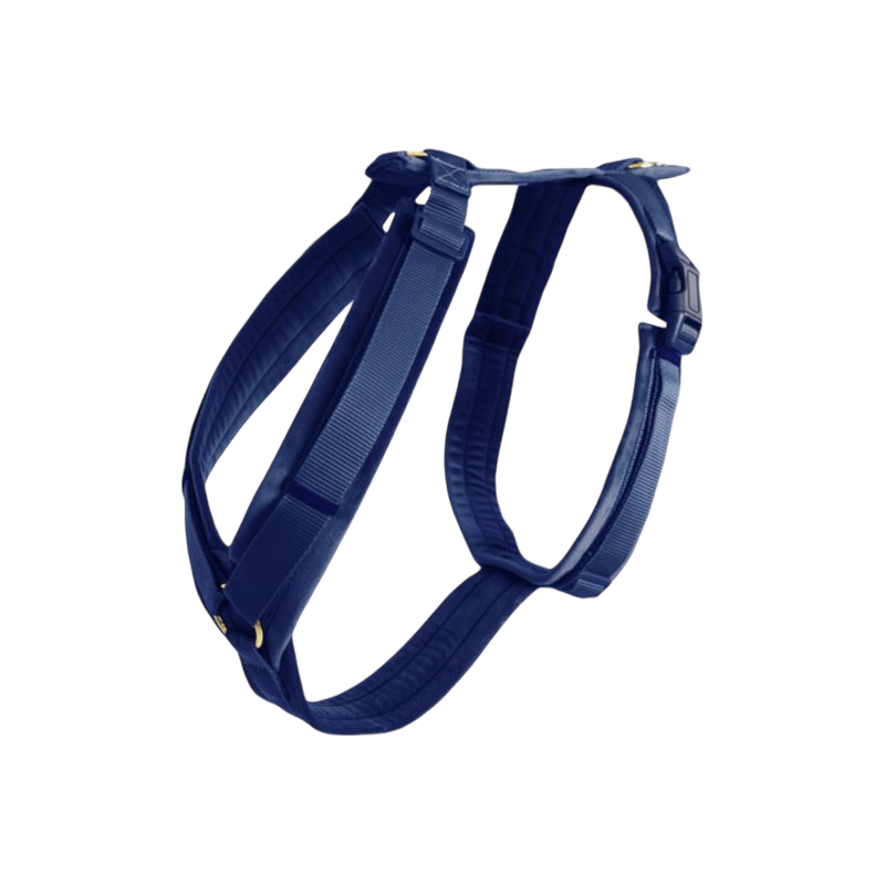 Kentucky Dogwear - Harnais pour chien actif velvet marine | - Ohlala