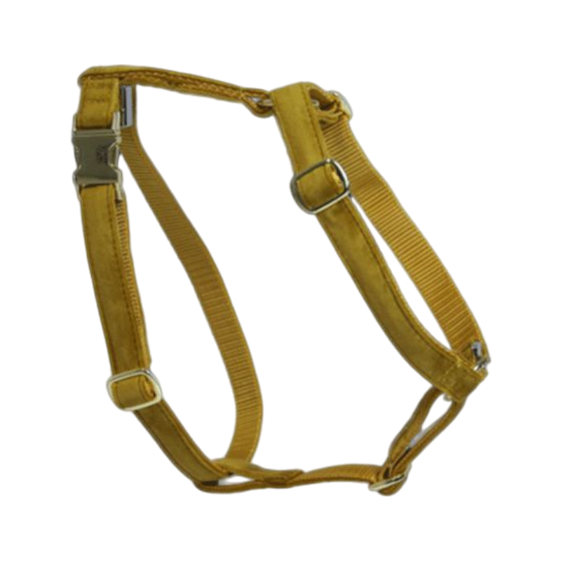 Kentucky Dogwear - Harnais pour chiens Velvet moutarde | - Ohlala