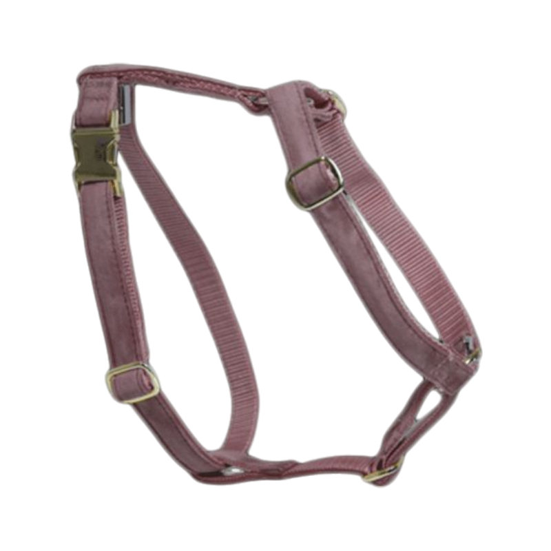 Kentucky Dogwear - Harnais pour chiens Velvet vieux rose | - Ohlala