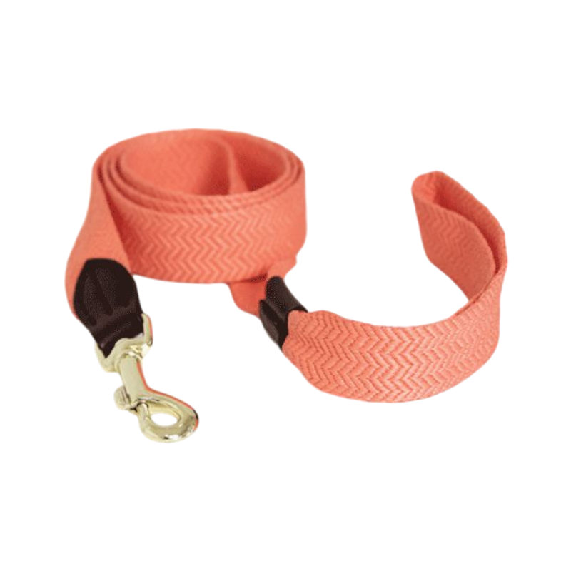 Kentucky Dogwear - Laisse pour chien Jacquard Orange fluo | - Ohlala
