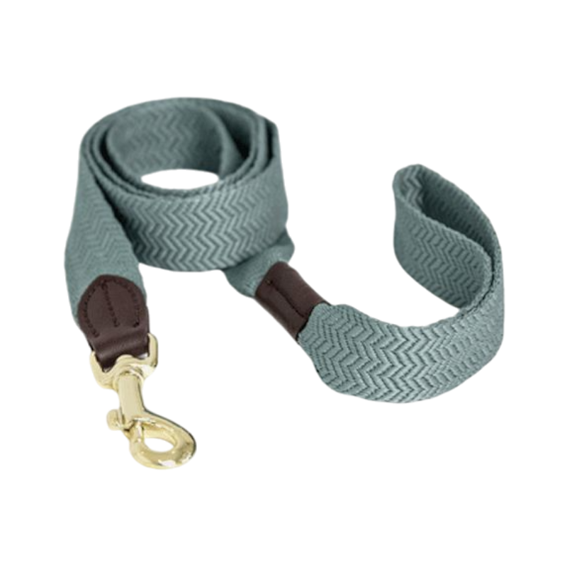 Kentucky Dogwear - Laisse pour chien Jacquard bleu ciel | - Ohlala