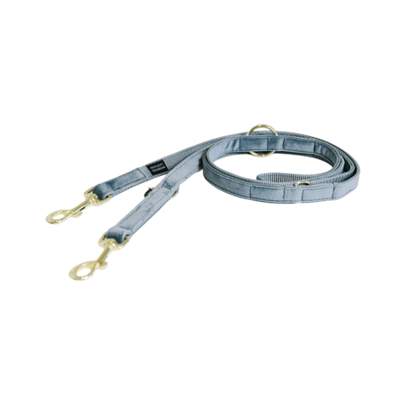 Kentucky Dogwear - Laisse pour chien Velvet 2m bleu ciel | - Ohlala
