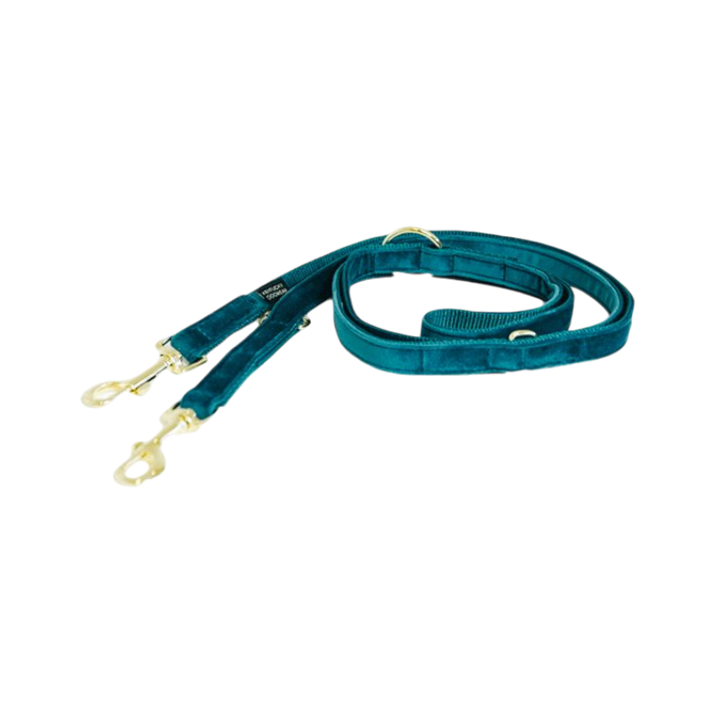 Kentucky Dogwear - Laisse pour chien Velvet 2m émeraude | - Ohlala