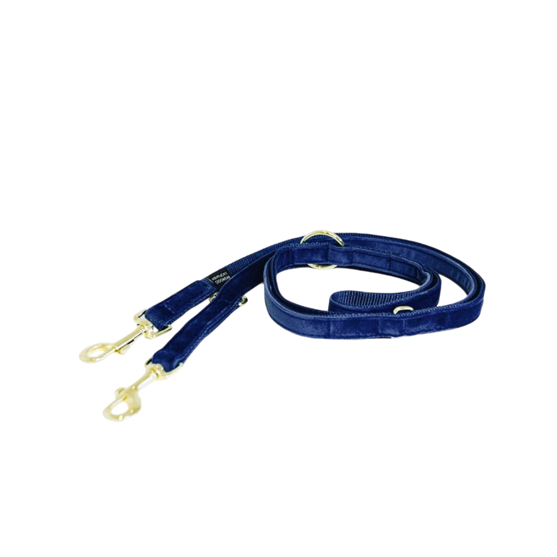 Kentucky Dogwear - Laisse pour chien Velvet 2m marine | - Ohlala