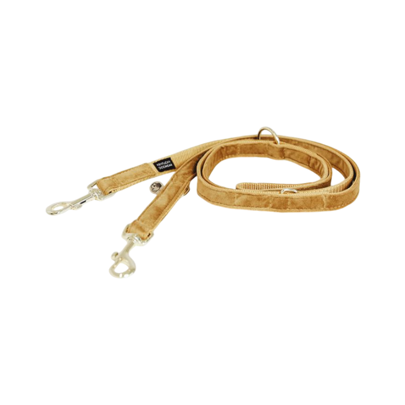 Kentucky Dogwear - Laisse pour chien Velvet 2m moutarde | - Ohlala