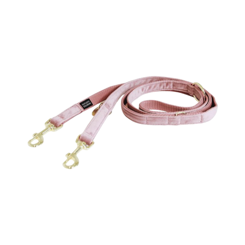 Kentucky Dogwear - Laisse pour chien Velvet 2m vieux rose | - Ohlala