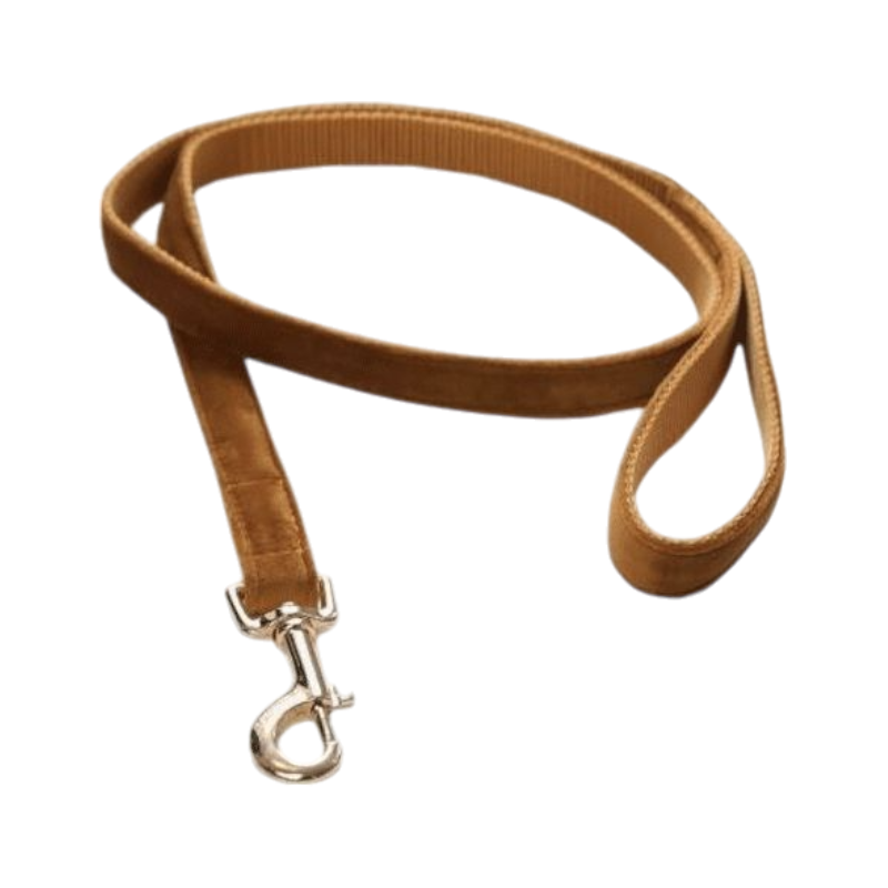 Kentucky Dogwear - Laisse pour chiens Velvet 120 cm Moutarde | - Ohlala