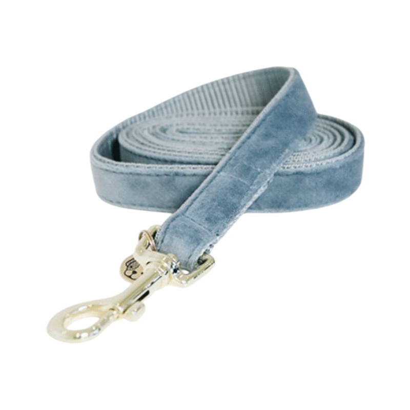 Kentucky Dogwear - Laisse pour chiens Velvet 120 cm bleu clair | - Ohlala