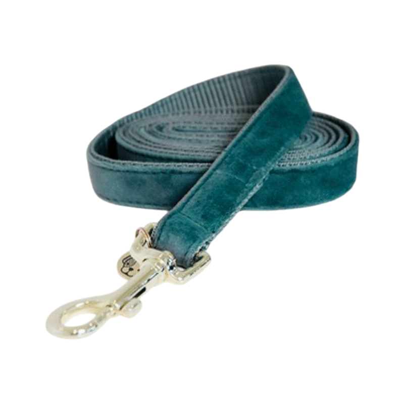 Kentucky Dogwear - Laisse pour chiens Velvet 120 cm émeraude | - Ohlala