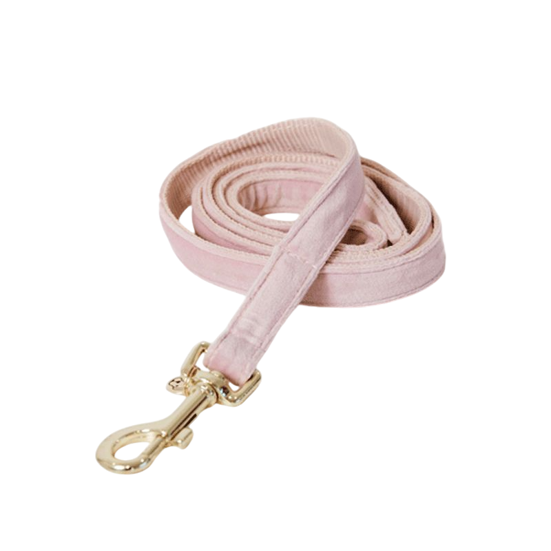 Kentucky Dogwear - Laisse pour chiens Velvet 120 cm rose tendre | - Ohlala