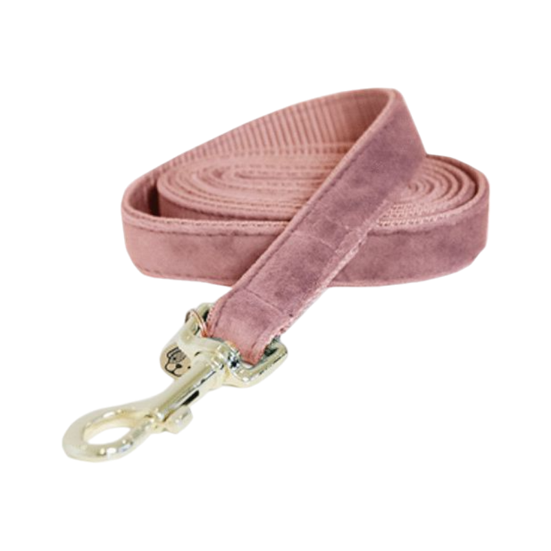 Kentucky Dogwear - Laisse pour chiens Velvet 120 cm vieux rose | - Ohlala