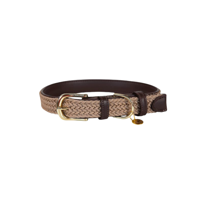 Kentucky Dogwear - Nylon tressé collier de chien beige | - Ohlala