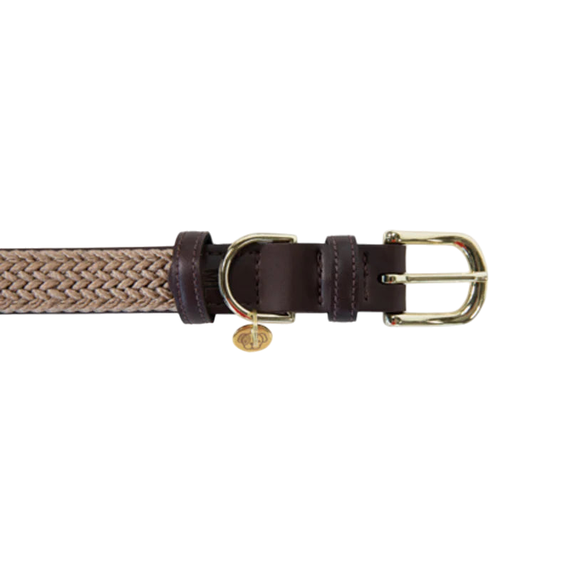 Kentucky Dogwear - Nylon tressé collier de chien beige | - Ohlala