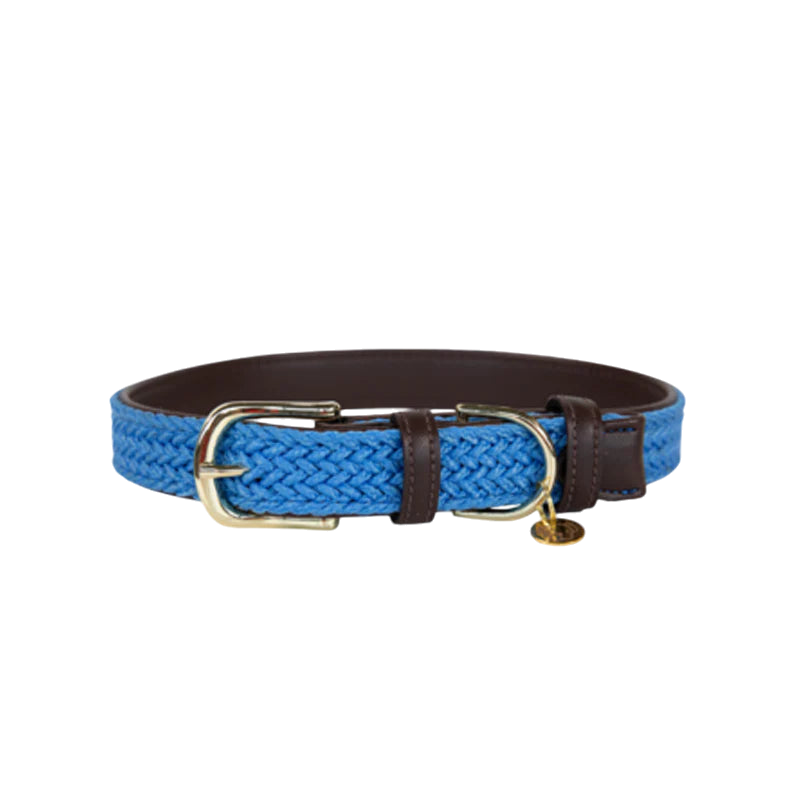 Kentucky Dogwear - Nylon tressé collier de chien bleu clair | - Ohlala