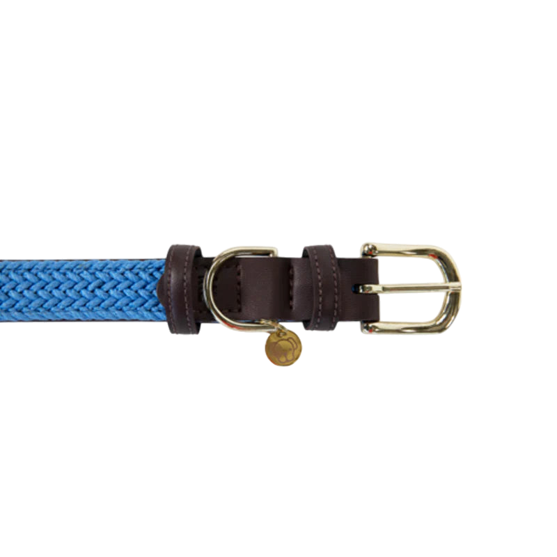 Kentucky Dogwear - Nylon tressé collier de chien bleu clair | - Ohlala