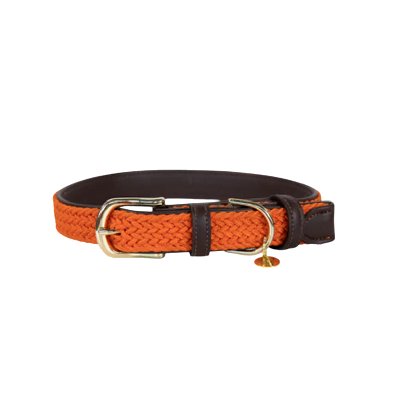 Kentucky Dogwear - Nylon tressé collier de chien orange | - Ohlala