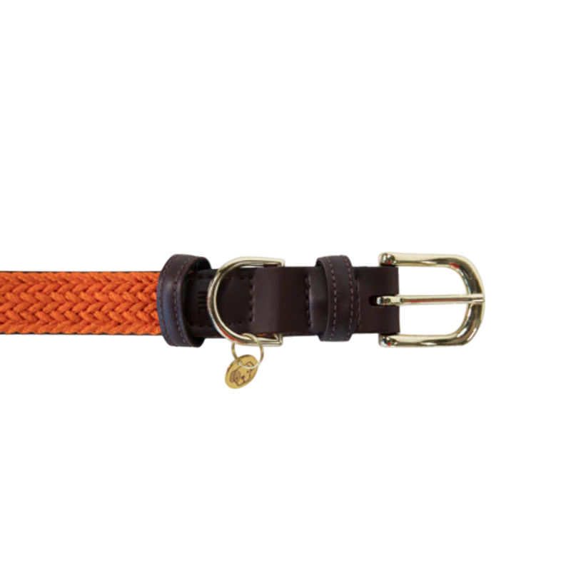 Kentucky Dogwear - Nylon tressé collier de chien orange | - Ohlala