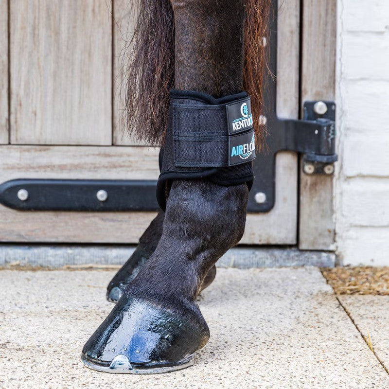 Kentucky Horsewear - Guêtres de cross courtes postérieurs 3D Air Flow noir | - Ohlala