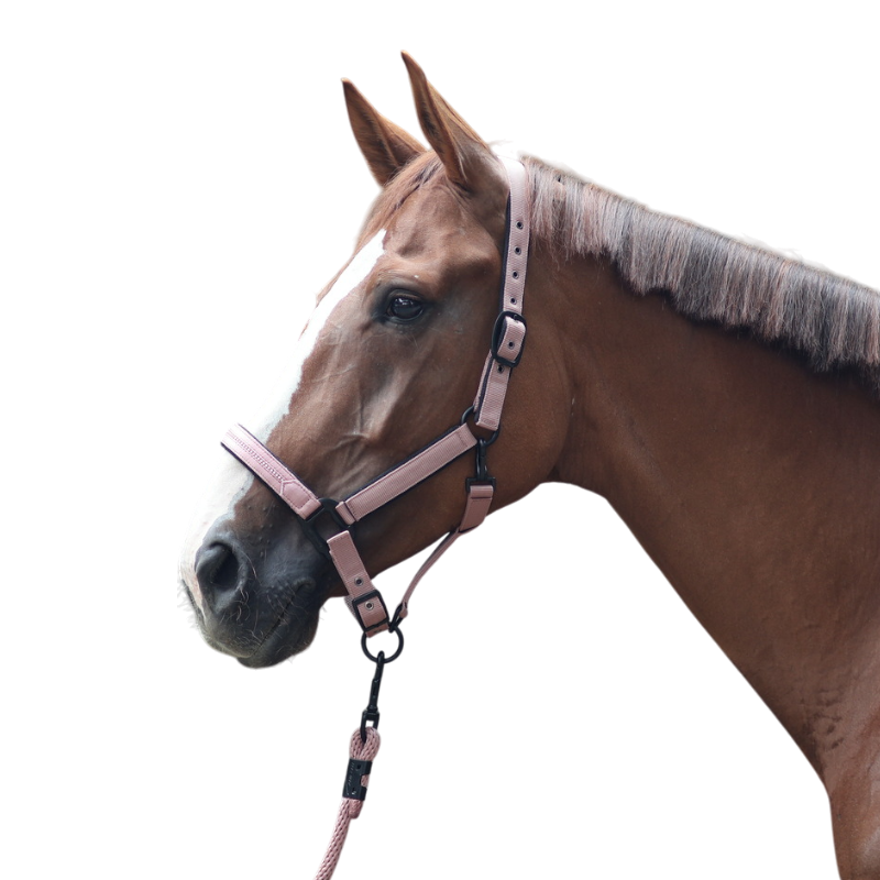 Lami-cell - Licol Charming vieux rose | - Ohlala