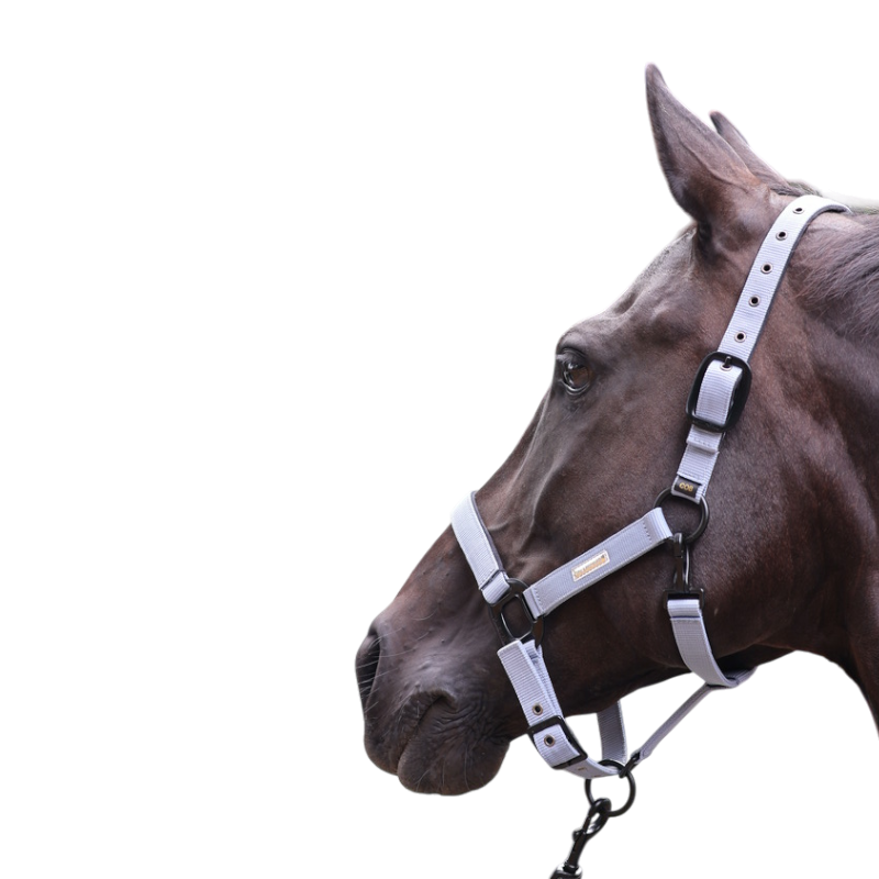 Lami-cell - Licol Midnight bleu ardoise | - Ohlala