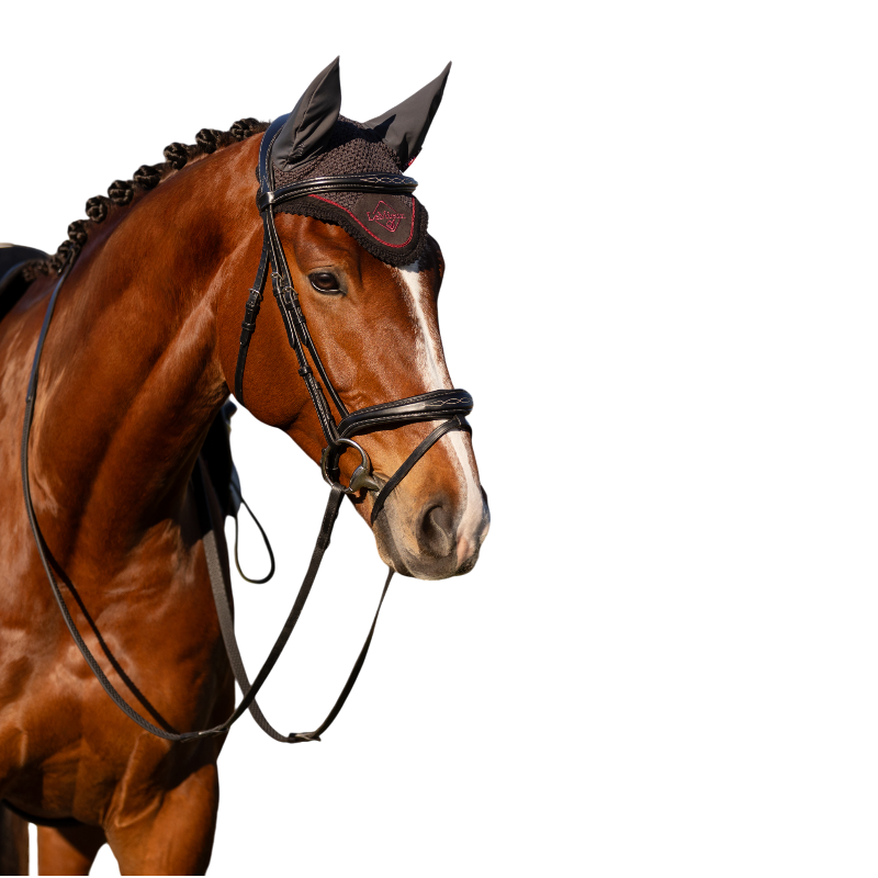 Lemieux - Bonnet anti-mouches Classic Cinder gris/ bordeaux | - Ohlala