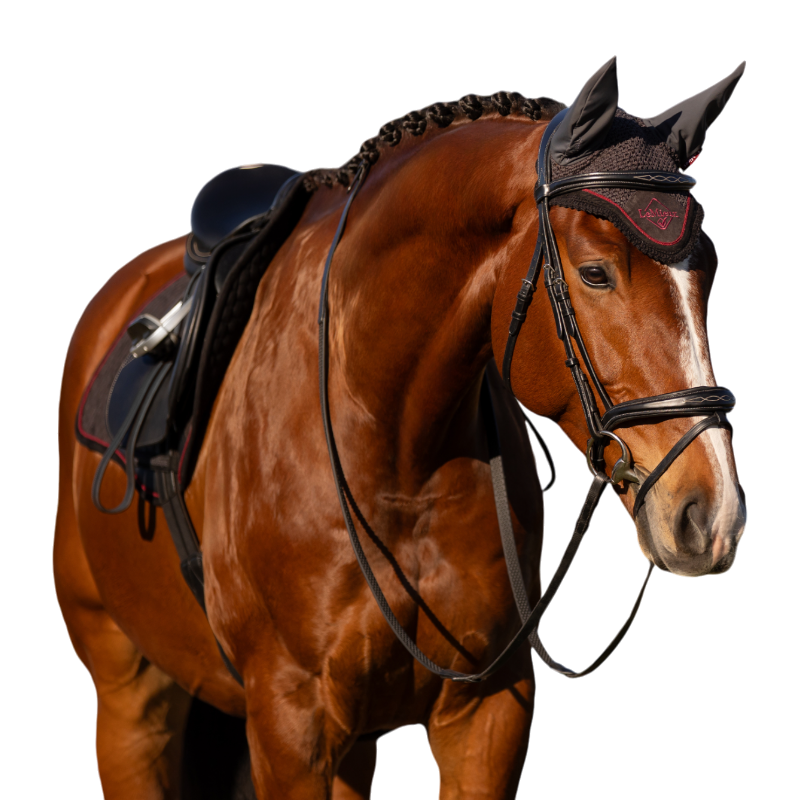 Lemieux - Bonnet anti-mouches Classic Cinder gris/ bordeaux | - Ohlala