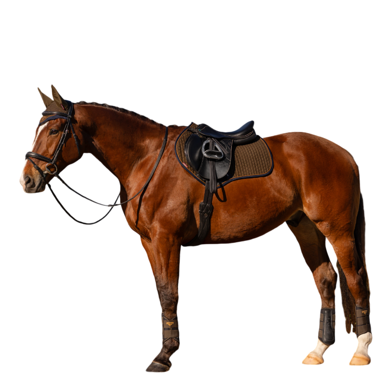 Lemieux - Tapis de selle Square en suédine Alpine kaki/ marron | - Ohlala