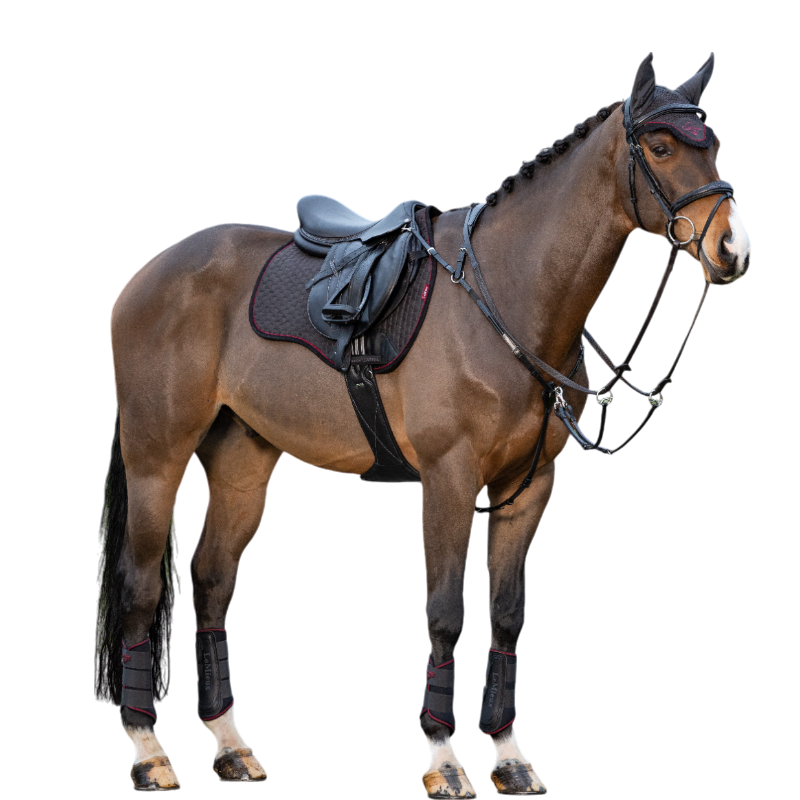 Lemieux - Tapis de selle Square en suédine Cinder gris/ bordeaux | - Ohlala