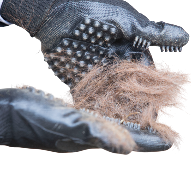 Lemieux - Gants de pansage Hands On noir | - Ohlala