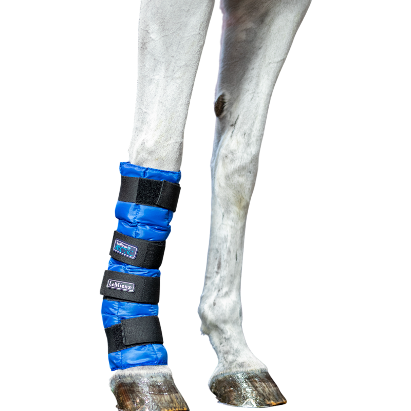 Lemieux - Guêtres rafraîchissantes Artic Ice Boot bleu (x2) | - Ohlala