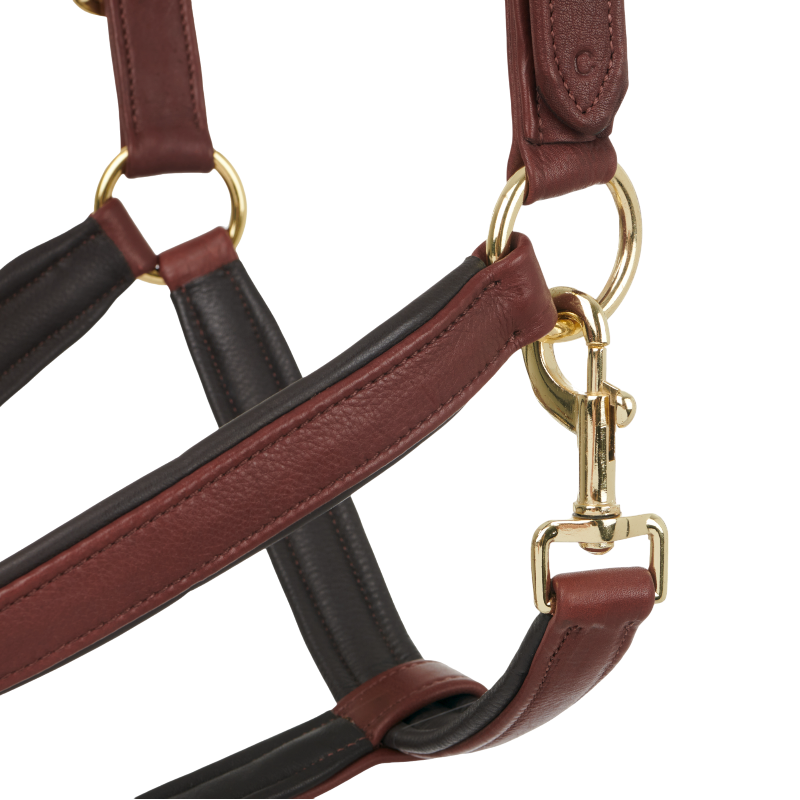 Lemieux - Licol pour chevaux Anatomique marron | - Ohlala