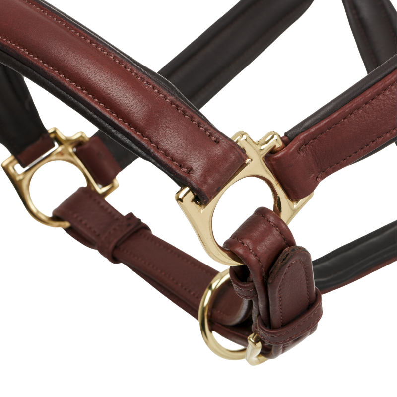 Lemieux - Licol pour chevaux Anatomique marron | - Ohlala