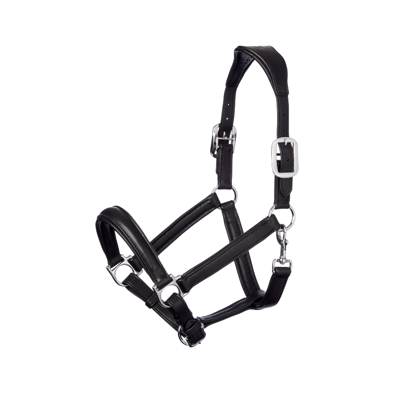 Lemieux - Licol pour chevaux Anatomique noir | - Ohlala