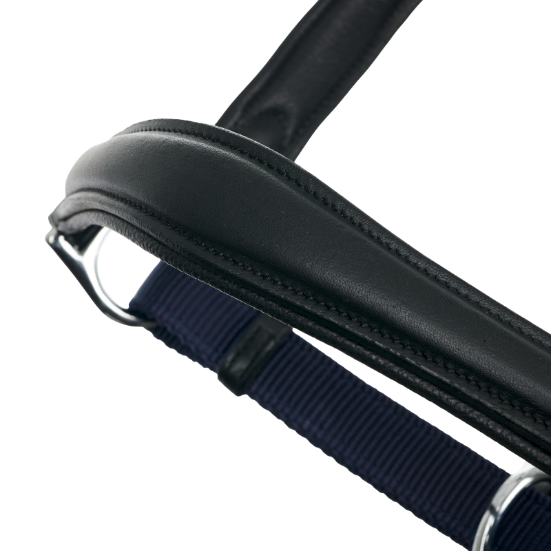 Lemieux - Licol pour chevaux Capella marine | - Ohlala