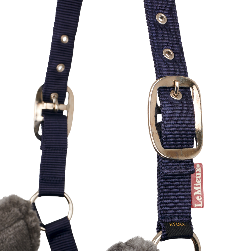 Lemieux - Licol pour chevaux Comfort marine | - Ohlala