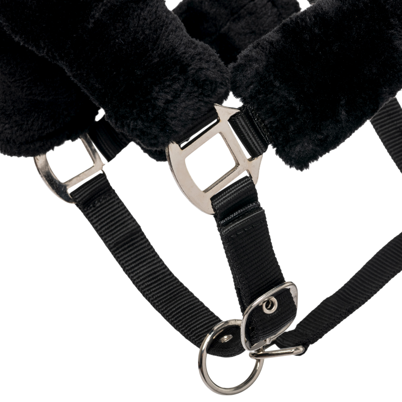 Lemieux - Licol pour chevaux Comfort noir | - Ohlala