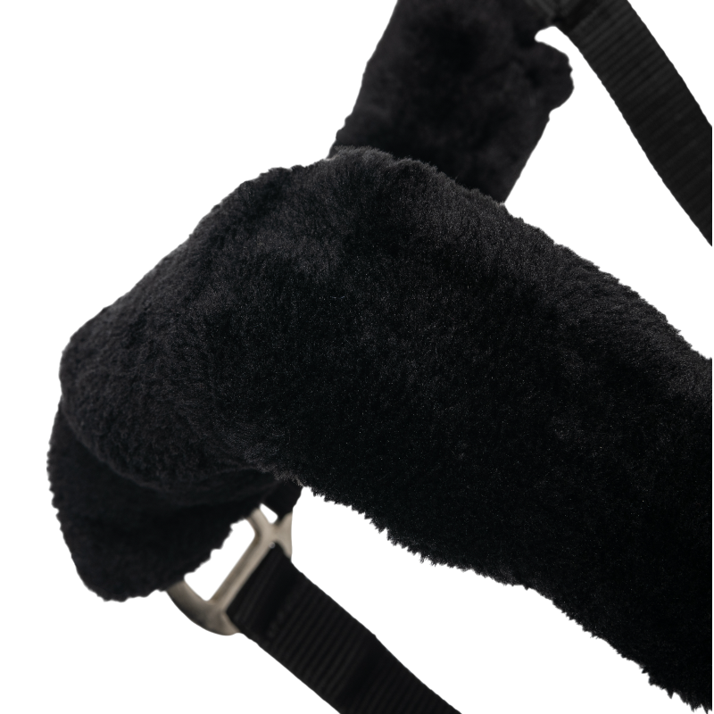 Lemieux - Licol pour chevaux Comfort noir | - Ohlala