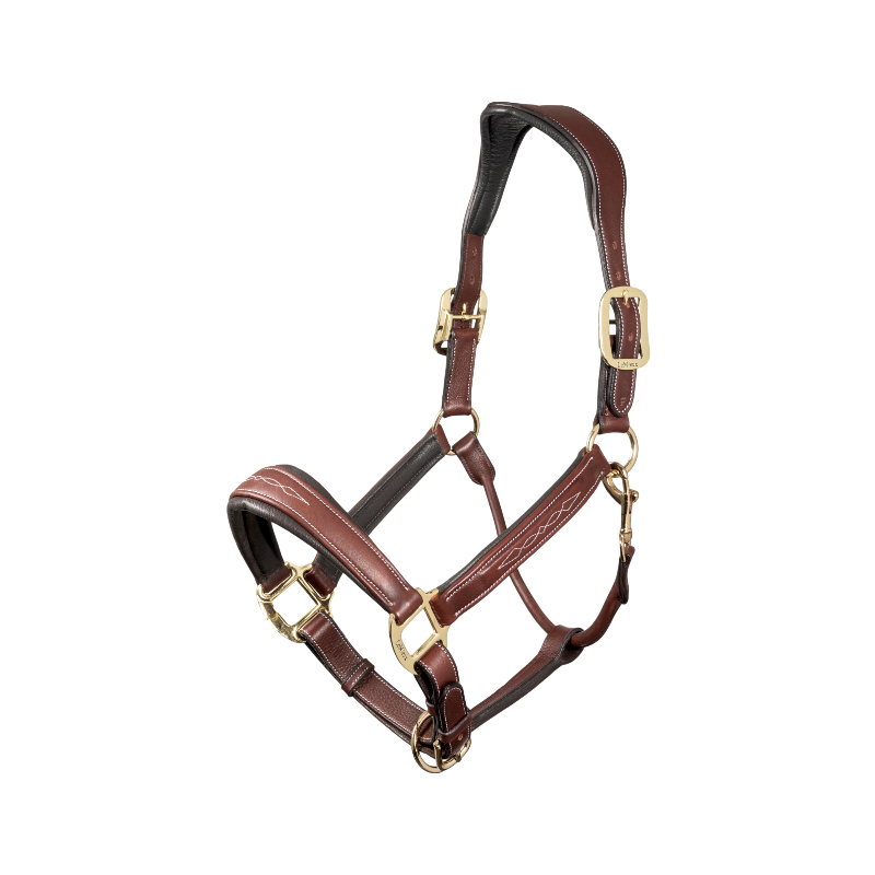 Lemieux - Licol pour chevaux Stitched marron | - Ohlala
