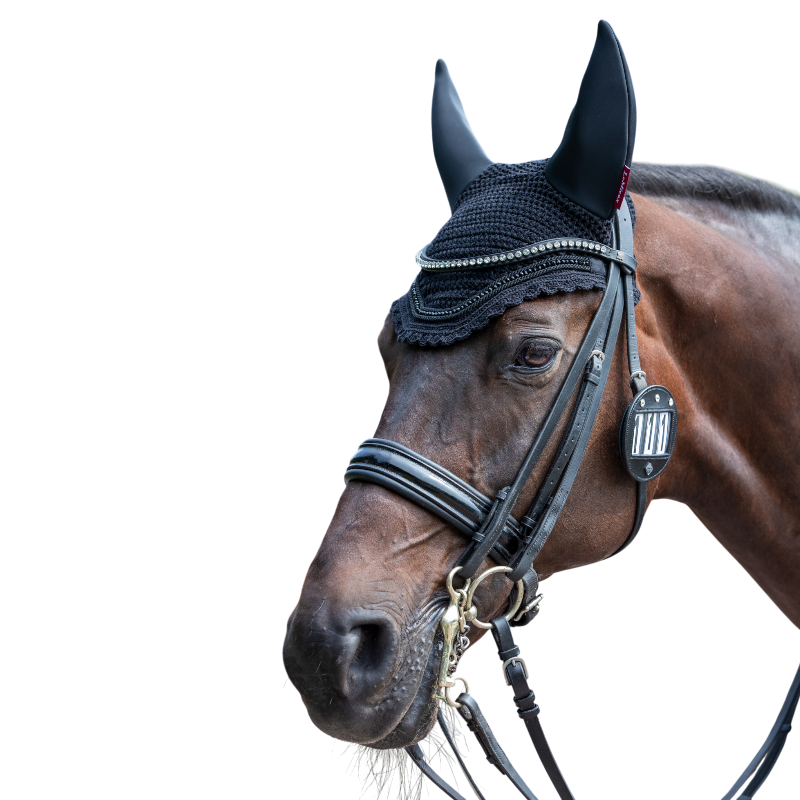 Lemieux - Porte-numéro pour bridon Diamante noir | - Ohlala