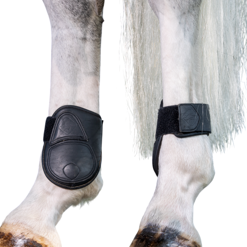 Lemieux - Protège-boulets Capella noir | - Ohlala