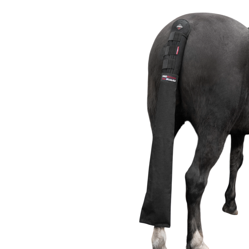 Lemieux - Protège-queue avec sac noir | - Ohlala