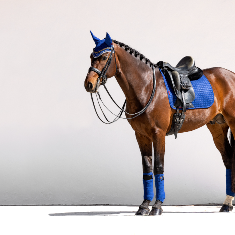 Lemieux - Tapis de dressage Square suédine benetton blue | - Ohlala