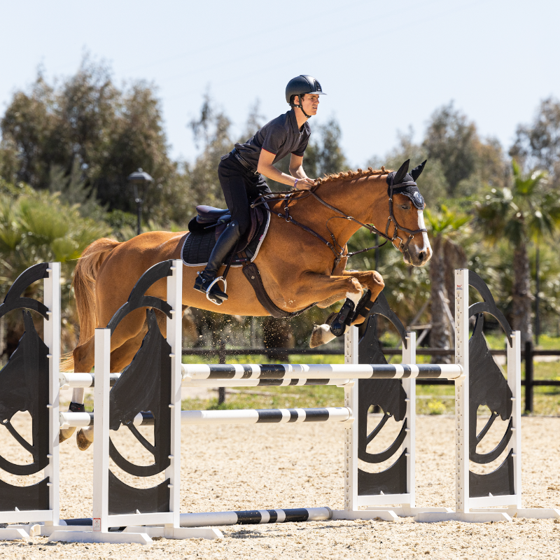 Lemieux - Tapis de selle Square EuroJump Suede noir | - Ohlala