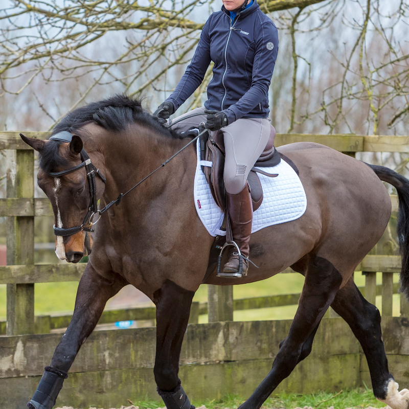 Lemieux - Tapis de selle Square Mixte Coton blanc | - Ohlala