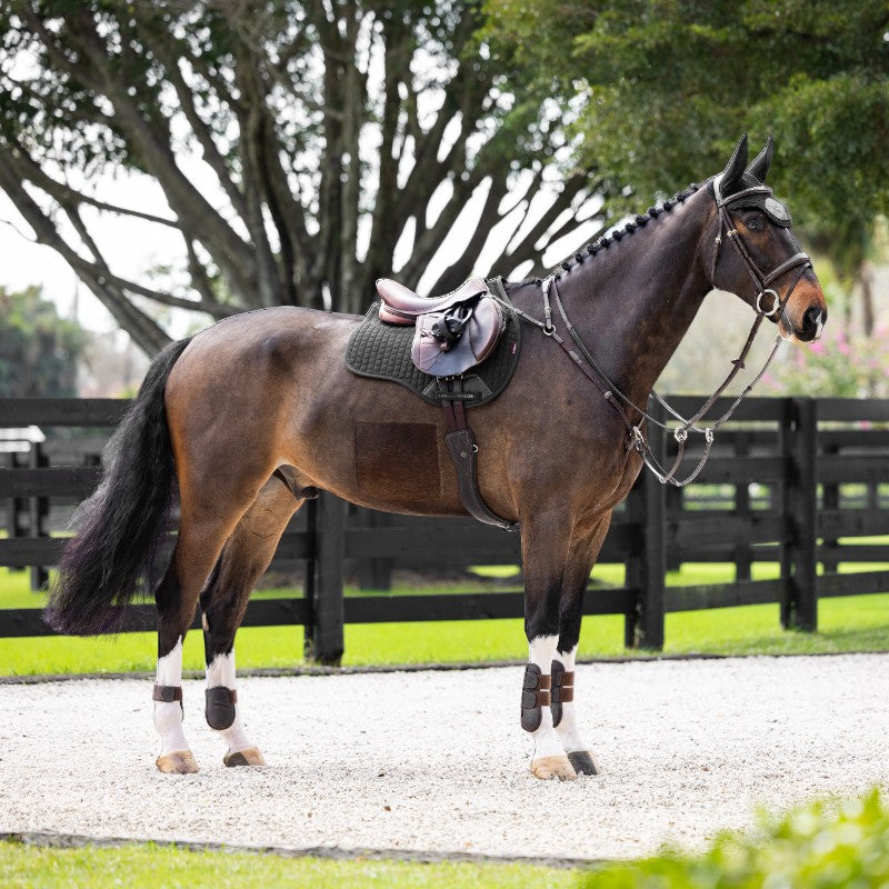 Lemieux - Tapis de selle mixte Pro Sorb Plain 2 Square noir | - Ohlala